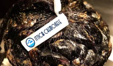 Cozze alla tarantina