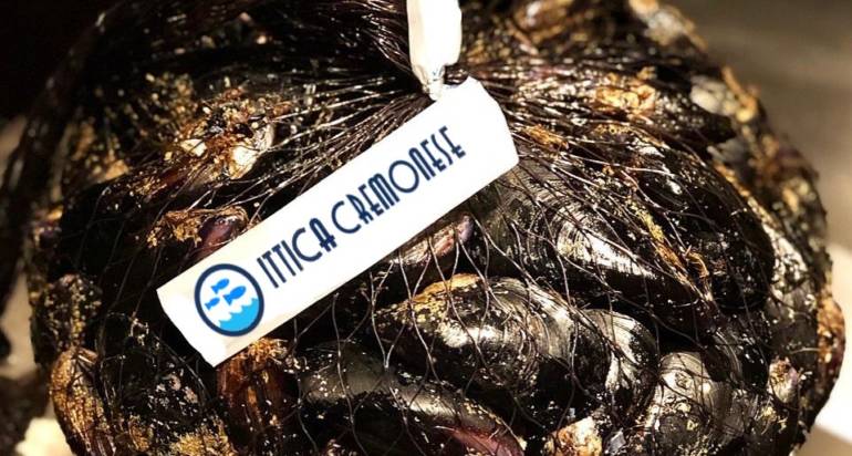 Cozze