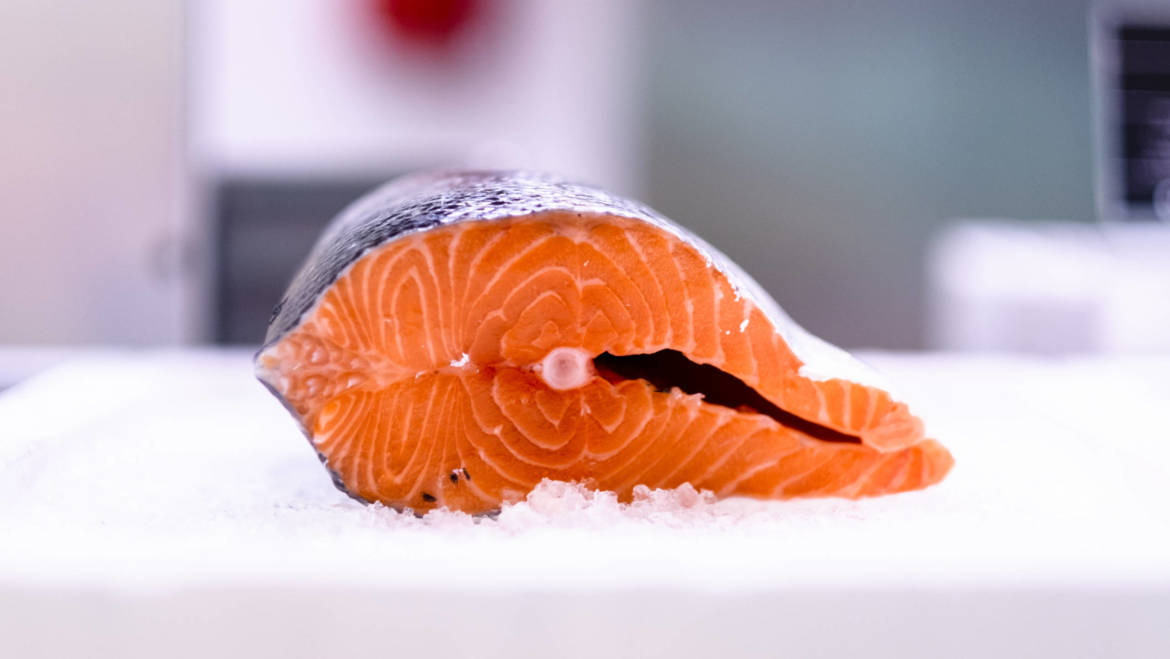 Parliamo di salmone?