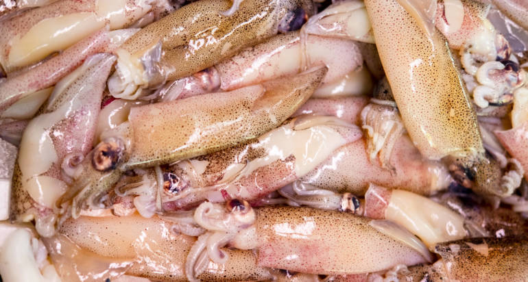 Calamari