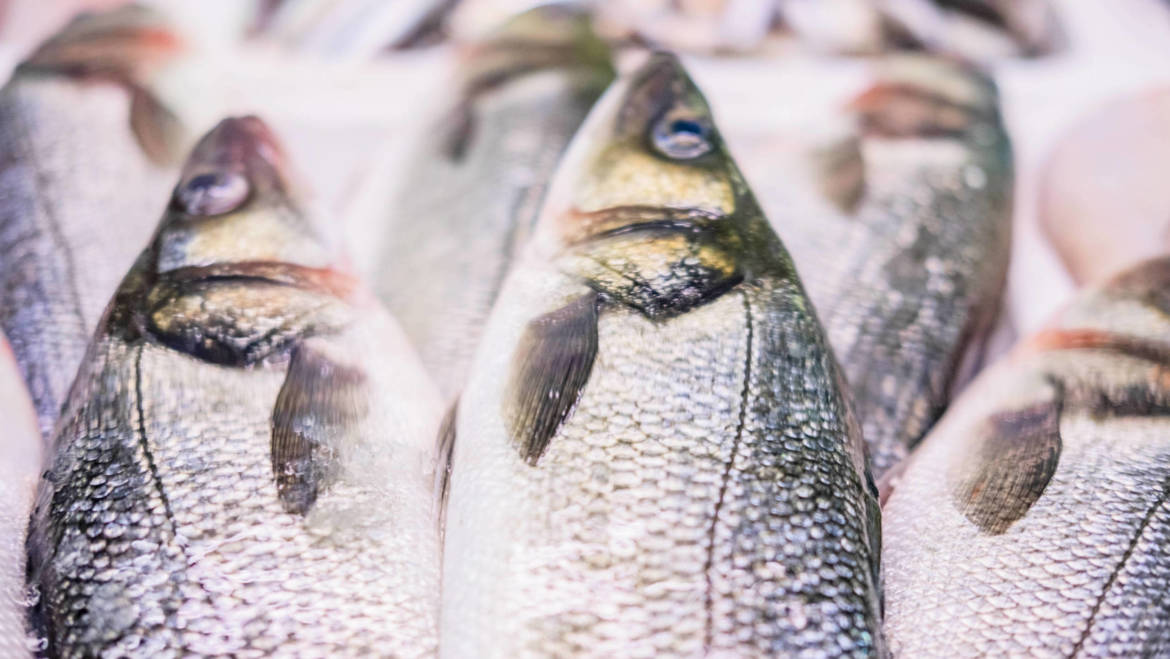 Branzino alla ligure