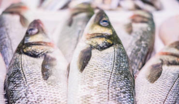 Branzino alla ligure