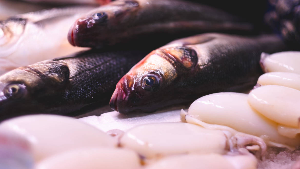 I diversi modi di conservare il pesce