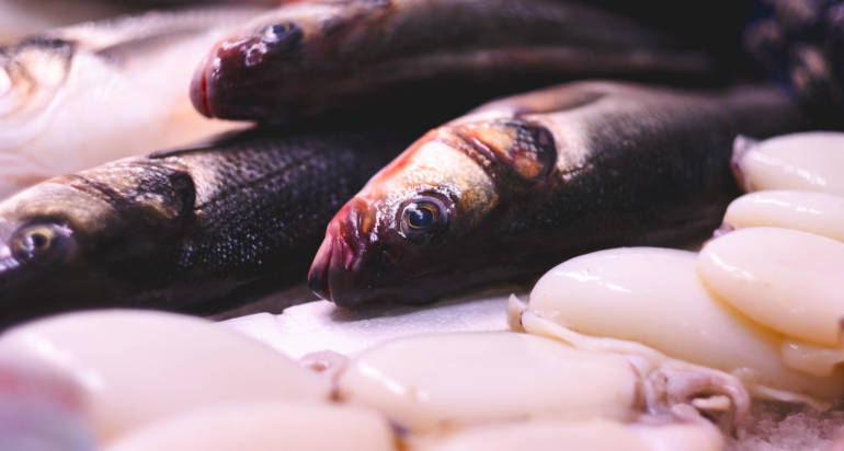 I diversi modi di conservare il pesce