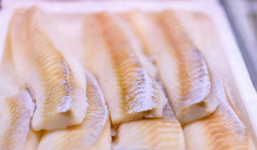 Filetti di pesce veloci veloci