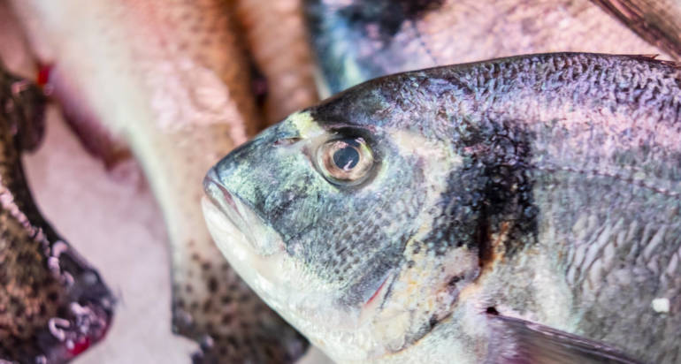 Sapete cucinare il pesce?