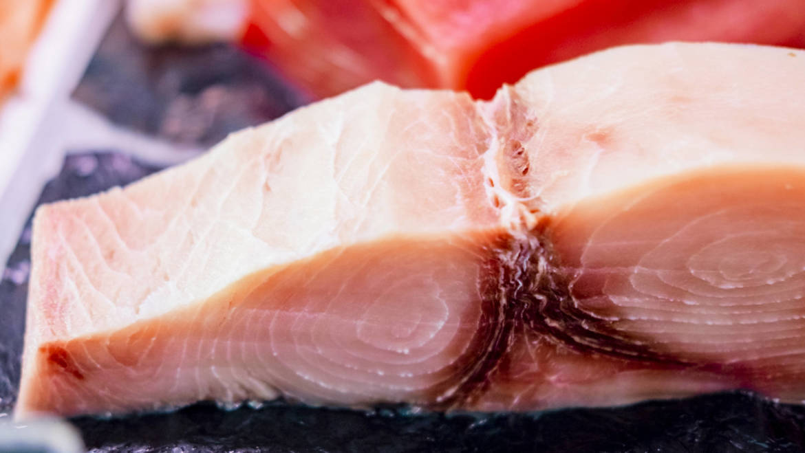 Il pesce spada