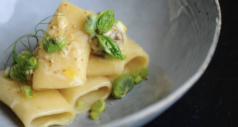 Paccheri, cacio pepe e ostriche